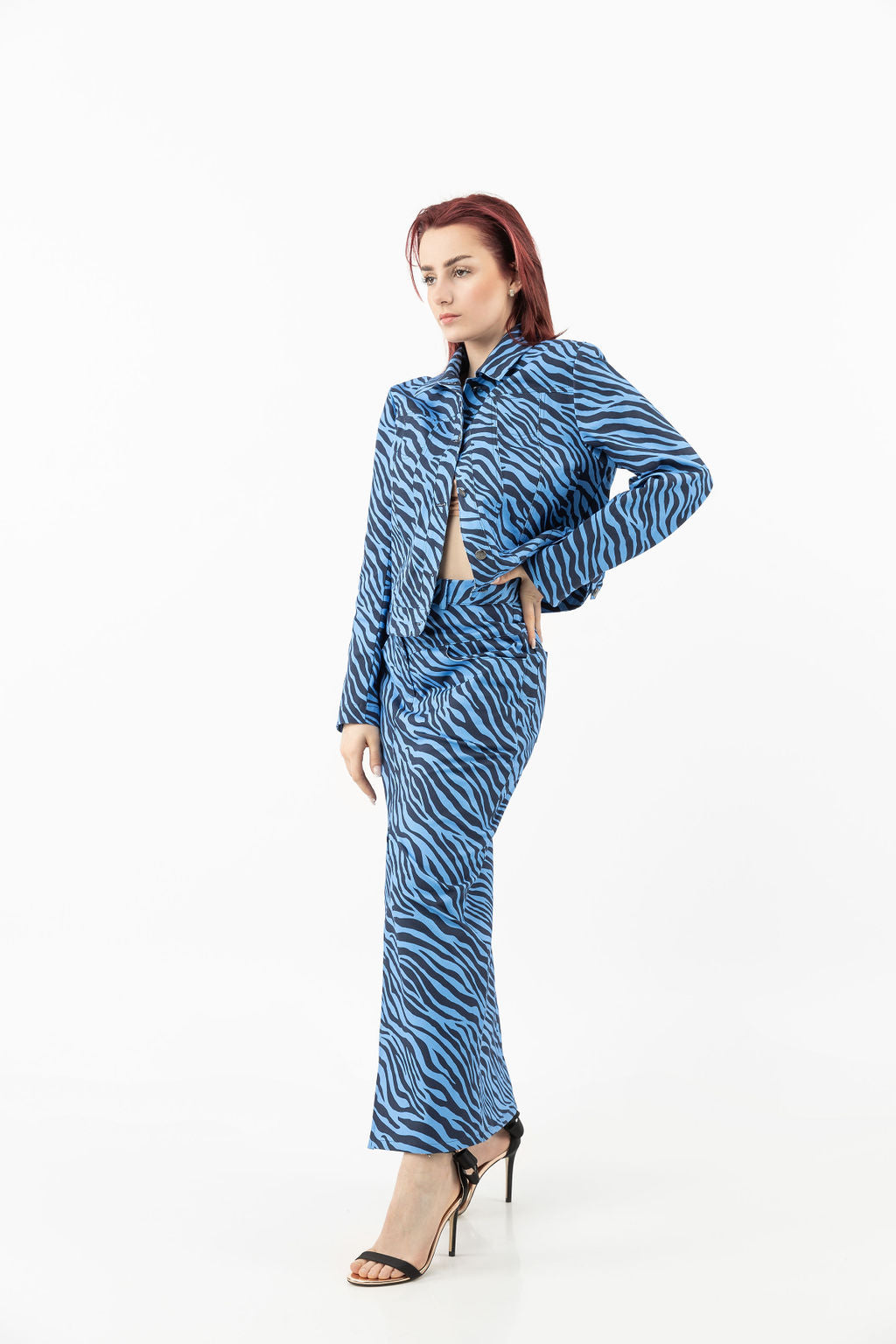 Cotton skirt in blue zebra print Cotton skirt in blue zebra print